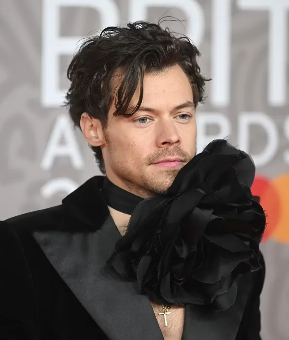 Музична премія Brit Awards-2023: зірки пройшлись по червоній доріжці в неймовірних вбраннях