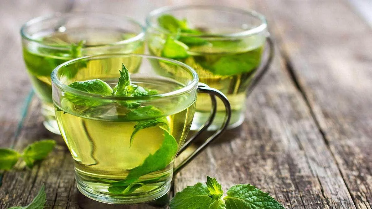 Чи прискорює зелений чай метаболізм: відповідь експертів