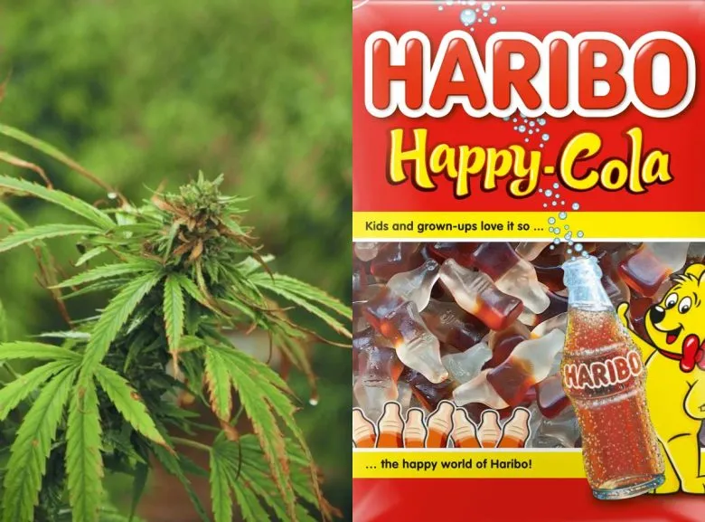В Нидерландах из продажи изъяли желейные конфеты Haribo с содержанием каннабиса