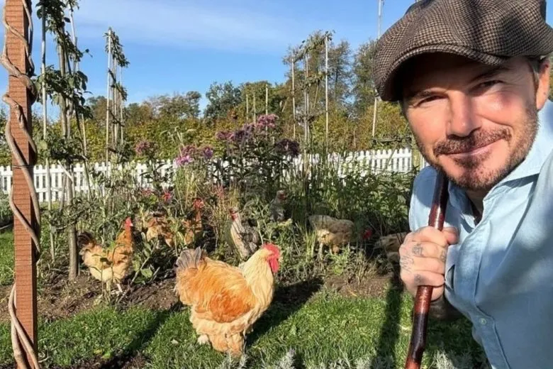 Девід Бекхем стане запрошеним редактором ювілейного випуску Country Life