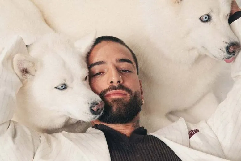 Собаки Сабрины Карпентер, Малуми и Розé из Blackpink стали героями обложки Dogue