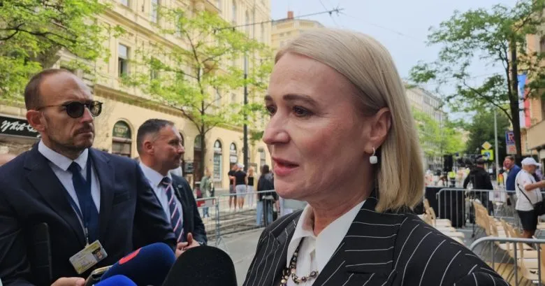 Чехия рассмотрит возможность отправки миротворцев в Украину после установления мира