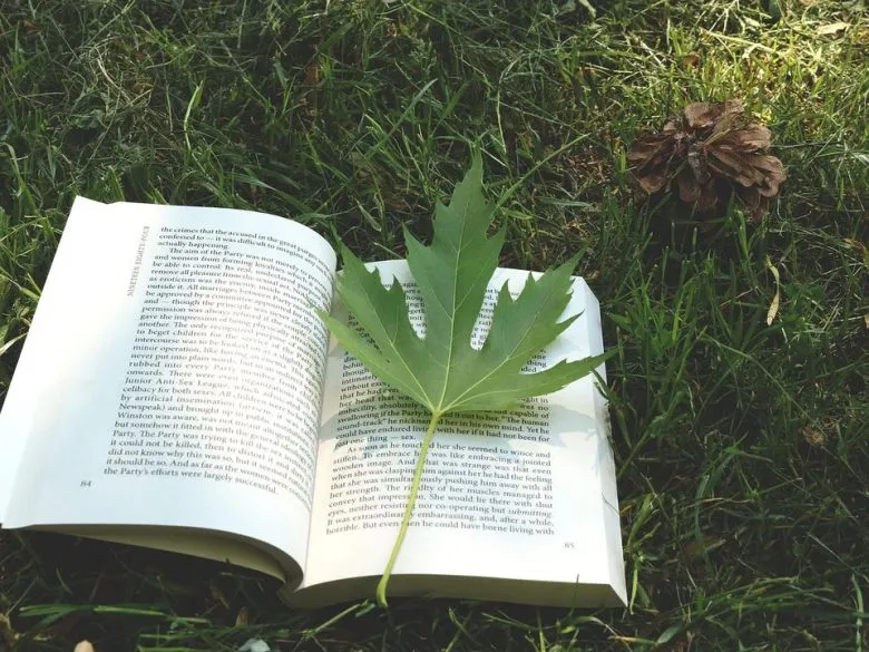 4 современные книги, которые уже стали классикой и стоят повторного прочтения
