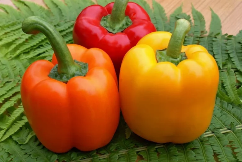 Які продукти допомагають боротися з раком: відкриття щодо зеаксантину
