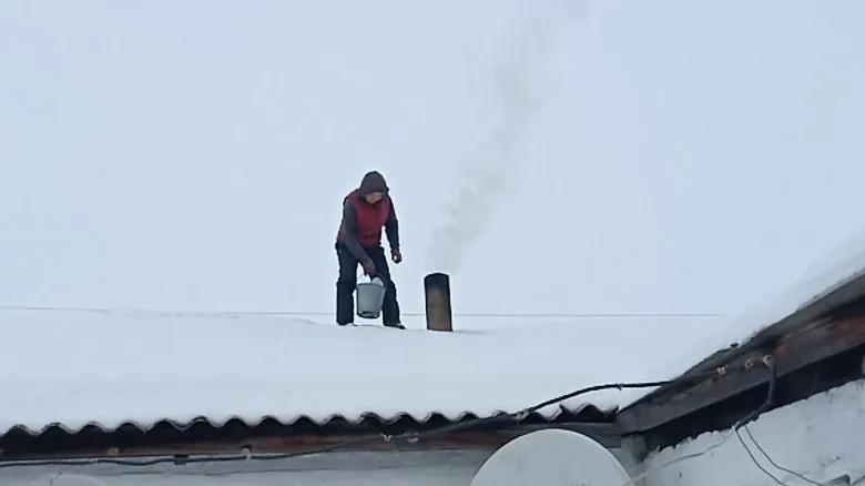 Як самостійно та безпечно почистити димар у приватному будинку