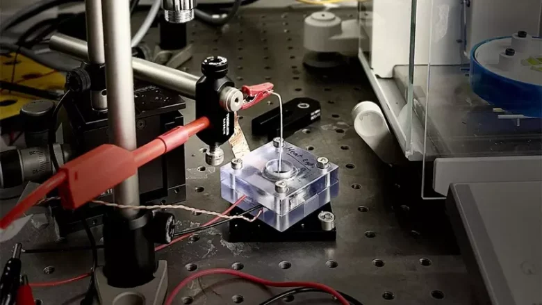EPFL представила нанопристрій для отримання електрики з пари та солоної води
