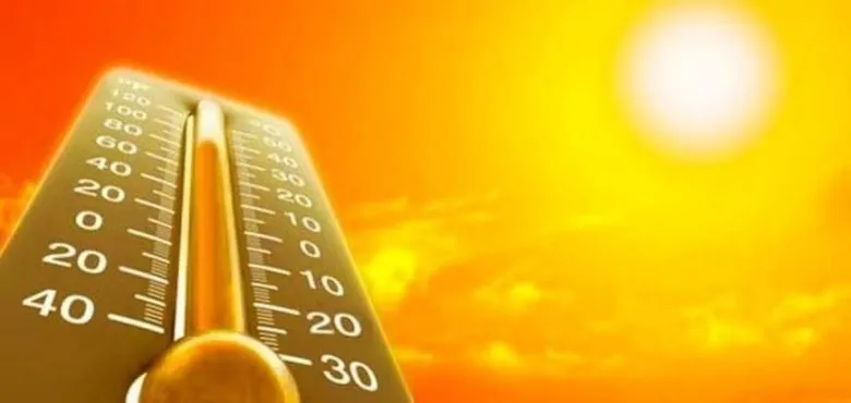 До 2050 року випадки серцевих хвороб через спеку можуть зрости утричі